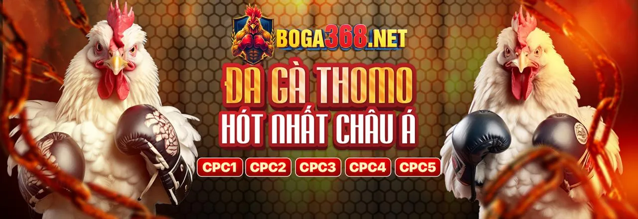 Đá gà trực tuyến kịch tính tại HK88 WIN
